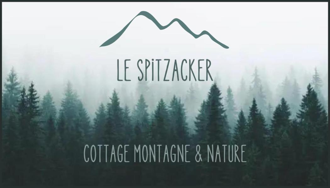 Le Spitzacker Gite Familial Au Calme Husseren-Wesserling Dış mekan fotoğraf